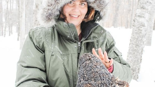 Chaga Harvesting with True North Beauty!